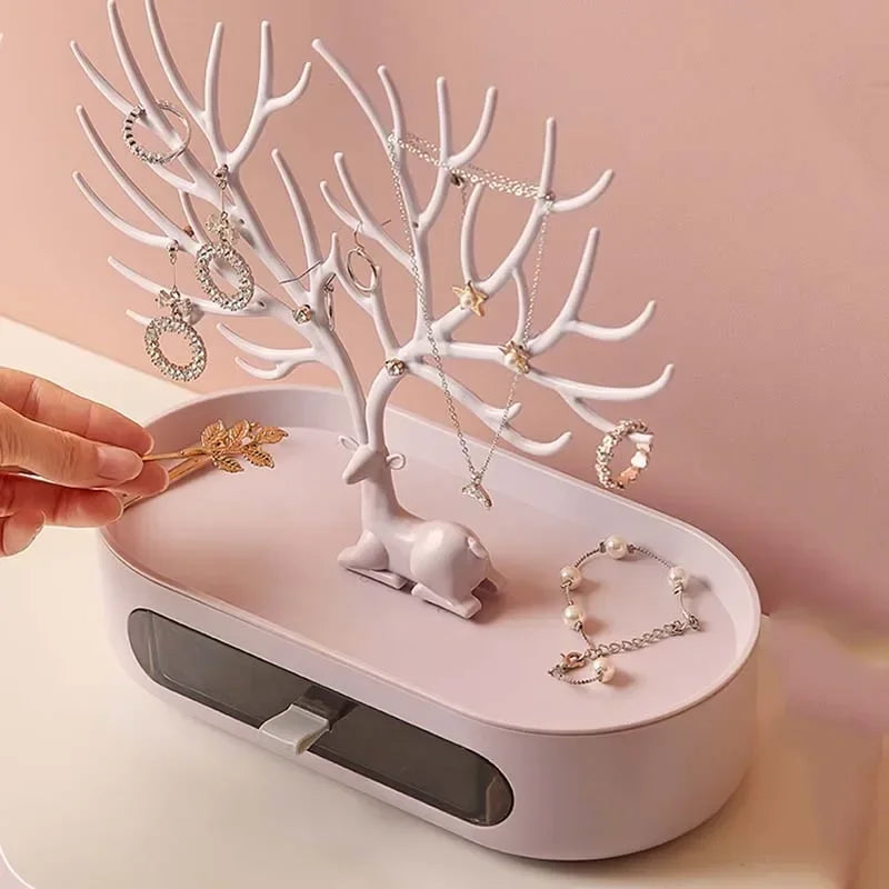 Jewelry Display/Organizer Rack
