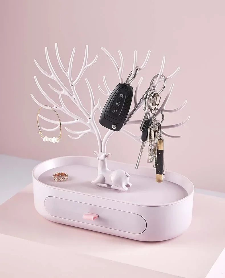 Jewelry Display/Organizer Rack
