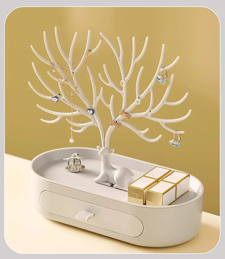 Jewelry Display/Organizer Rack