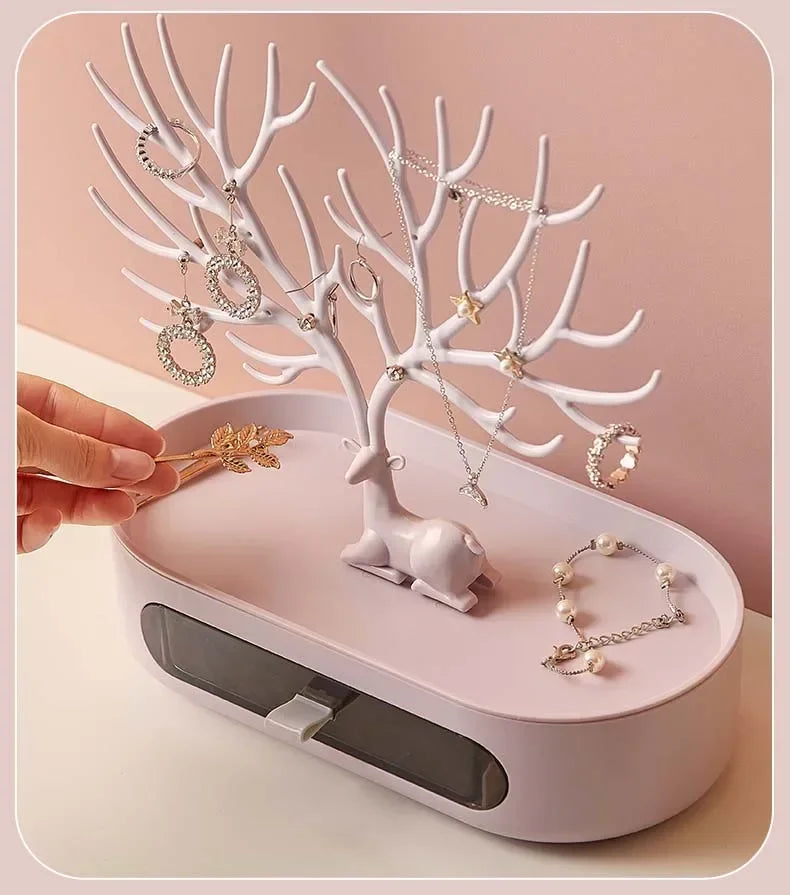 Jewelry Display/Organizer Rack