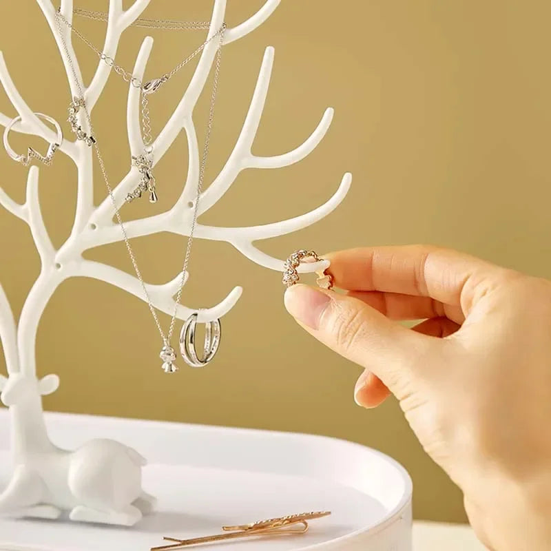 Jewelry Display/Organizer Rack