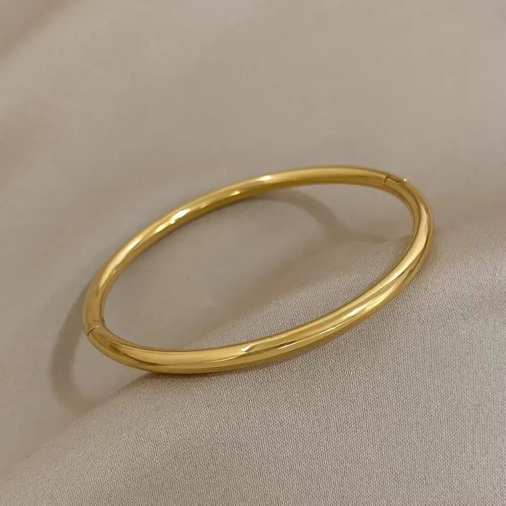LuxeLine Titanium Bangle