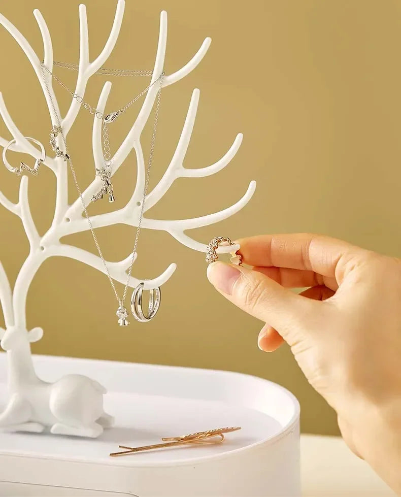 Jewelry Display/Organizer Rack